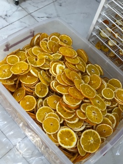  خشکبار | میوه خشک پرتغال تامسون