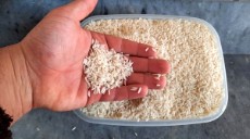  غلات | برنج برنج دم سیاه دودی