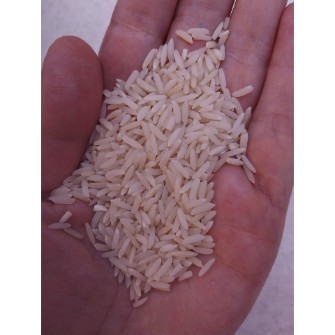  غلات | برنج طارم هاشمی درجه 1