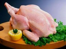  مواد پروتئینی | گوشت مرغ گینه شاخدار