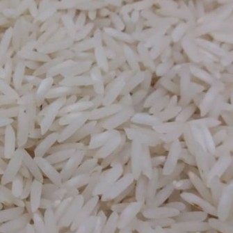  غلات | برنج برنج شیرودی اعلا دستیار سورت شده