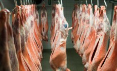  مواد پروتئینی | گوشت گوسفند