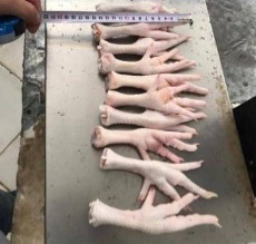  مواد پروتئینی | فرآورده گوشتی پای مرغ صادراتی