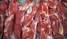  مواد پروتئینی | گوشت گوسفند،شیشک،بره