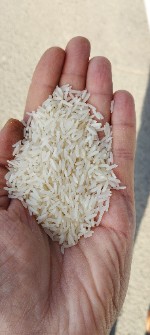  غلات | برنج فجر اعلا