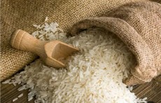  غلات | برنج هندی 1121