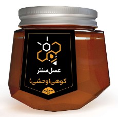  دامپروری | عسل انواع عسل طبیعی کوهی، چهل گیاه، گشنیز و آویشن