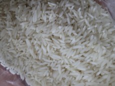  غلات | برنج طارم شیرودی