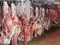  مواد پروتئینی | گوشت گوشت گوساله نر و ماده گاو