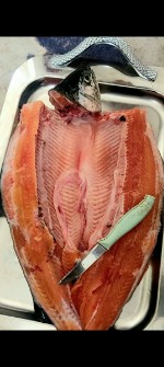  مواد پروتئینی | ماهی قزل الا سالمون