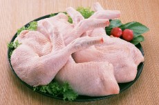  مواد پروتئینی | گوشت مرغ گرم بسته بندی و فله