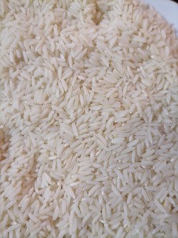 غلات | برنج هاشمی آستانه اشرفیه
