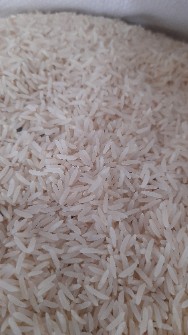  غلات | برنج برنج طارم