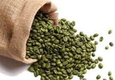  نوشیدنی | قهوه دان قهوه سبز کنیا عربیکا