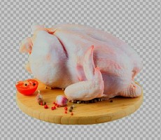  مواد پروتئینی | گوشت گوشت مرغ بسته بندی