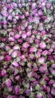  بذر و نهال | گل و گیاه غنچه گل محمدی ارگانیک در جعبه های هفت کیلویی
