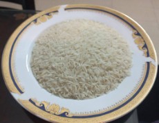  غلات | برنج طارم محلی اصیل گلستان