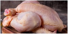  مواد پروتئینی | فرآورده گوشتی مرغ کامل