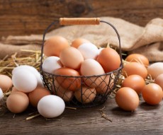  مواد پروتئینی | تخم مرغ تخم مرغ محلی ترنم