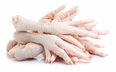  مواد پروتئینی | فرآورده گوشتی پا و پنجه مرغ صادراتی