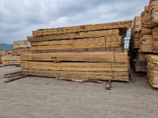 مصالح ساختمانی | چوب چوب روسی یولکا و ساسنا