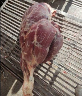  مواد پروتئینی | گوشت گوشت گوسفند و گوساله