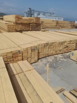  مصالح ساختمانی | چوب چوب روس
