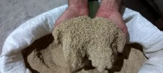  دامپروری | خوراک دام سبوس برنج