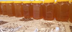  دامپروری | عسل عسل الموت گون واویشن