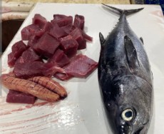  مواد پروتئینی | ماهی هوور