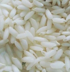  غلات | برنج برنج چمپا باغملک