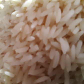  غلات | برنج برنج طارم هاشمی ارگانیک