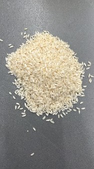  غلات | برنج برنج عنبربو خوزستان