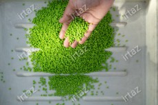  مواد اولیه | مواد پلیمری گرانول بادی سبز