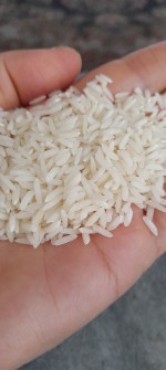  غلات | برنج طارم بوجاری شد همراه نیمه ولاشه