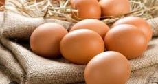  مواد پروتئینی | تخم مرغ محلی شمال کشور