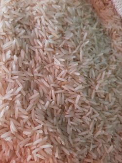  غلات | برنج برنج 11 درجه یک پاکستانی