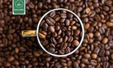  نوشیدنی | قهوه اسپرسو عربیکا