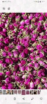  بذر و نهال | گل و گیاه غنچه خشک گل محمدی