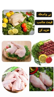  مواد پروتئینی | گوشت گوشت منجمد