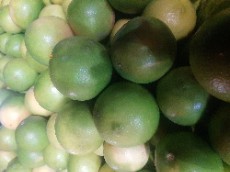  میوه | لیمو شیرین لیموشیرین رودان