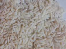  غلات | برنج هاشمی و شیرودی