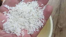  غلات | برنج طارم هاشمي