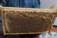  دامپروری | عسل عسل کاملا طبیعی ودرمانی