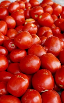  صیفی | گوجه گوجه فرنگی ربی گوشت دار