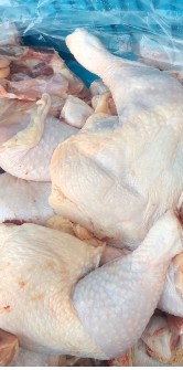  مواد پروتئینی | گوشت ران مرغ-سینه -منجمد سایز ممتاز