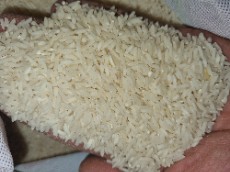  غلات | برنج دم سیاه درجه یک