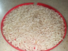  غلات | برنج طارم هاشمی ممتاز فریدونکنار
