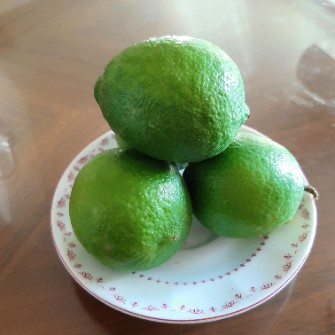  میوه | لیمو ترش پرشین