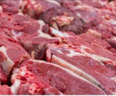  مواد پروتئینی | گوشت گوشت گاو گوساله گاومیش